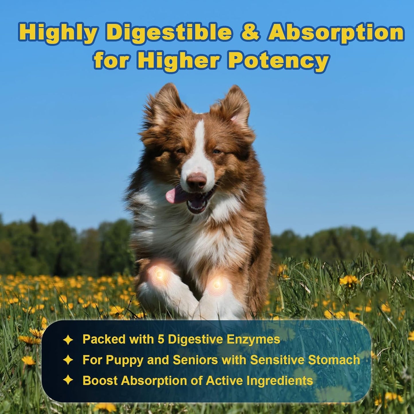 Glucosamine for Dogs, Freeze Dried Joint Supplement for Dogs, with Chondroitin, MSM, Omega-3, Enhanced with Hemp Oil for Dogs Joint Pain Relief, Support Mobility & Discomfort, Small Large Dogs, 120 Ct